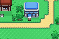 口袋妖怪空之花神