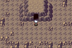 口袋妖怪空之花神