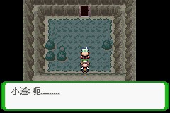 口袋妖怪空之花神