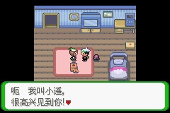 口袋妖怪空之花神