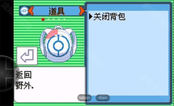 口袋妖怪空之花神汉化版