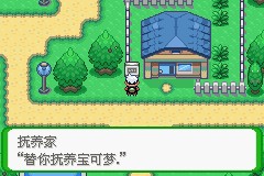 口袋妖怪空之花神