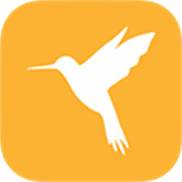 小黄鸟抓包软件安卓版下载