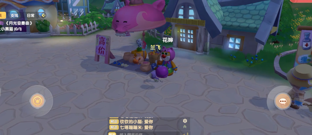 摩尔庄园怎么找花婶的猫