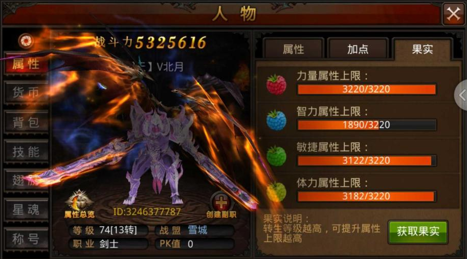 全民奇迹魔剑士攻略秘籍 玩转游戏轻松上手