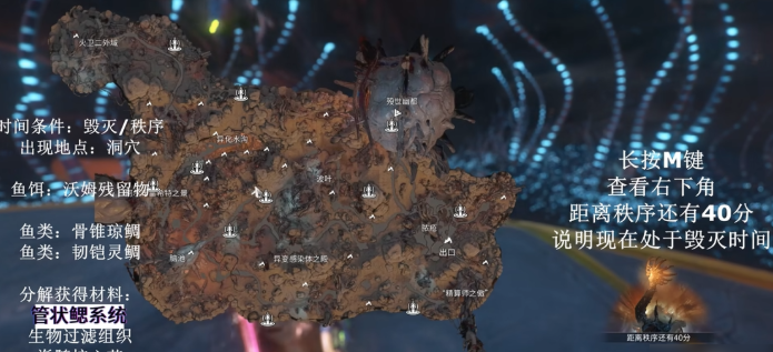 星际战甲鱼种攻略 稀有鱼刷取秘籍