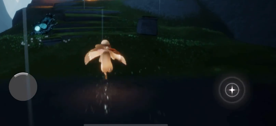 光遇玫瑰朋友雨林攻略揭秘 光遇雨林玫瑰朋友挑战全解析