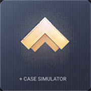 对峙2开箱模拟器中文版安卓版下载-对峙2开箱模拟器中文版无广告下载v2.9.0.10.2版