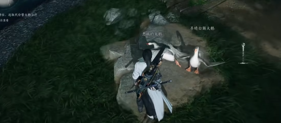 寻燕云十六声宠物鹅秘境 惊艳亮相地点揭秘