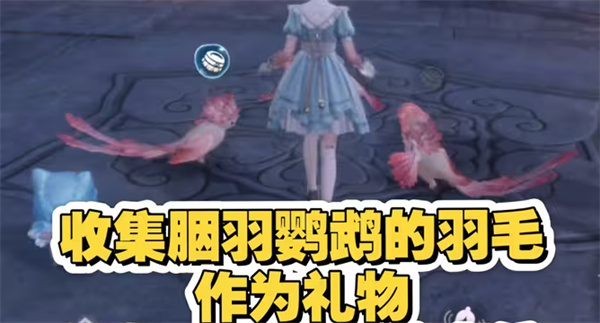 无限暖暖2.2胭羽鹦鹉获取攻略+快速问答全解析