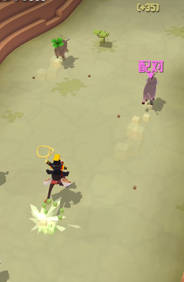 驯服鸵鸟技巧大揭秘 动物园鸵鸟驯养必看