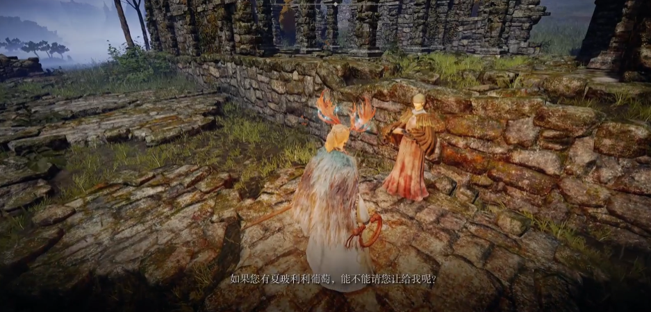 艾尔登法环盲眼少女任务攻略详解  快速完成支线挑战