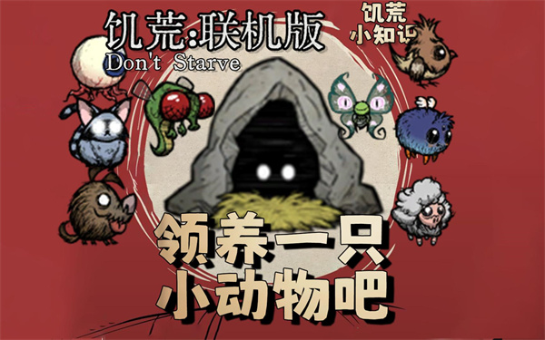 饥荒联机领养萌宠攻略 小宠物养成秘籍