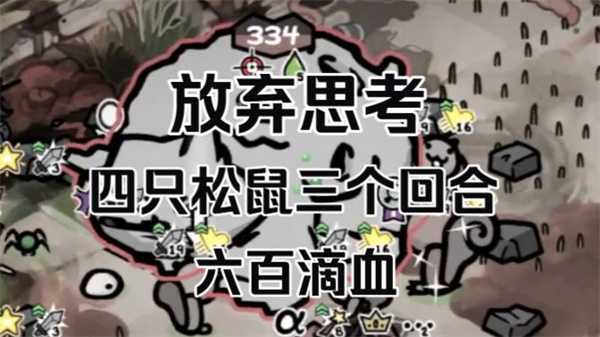 喵星人与德鲁伊松鼠流秘籍结合攻略大揭秘