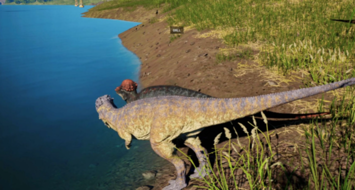 恐龙岛攻略：轻松获得稀有龙王秘籍