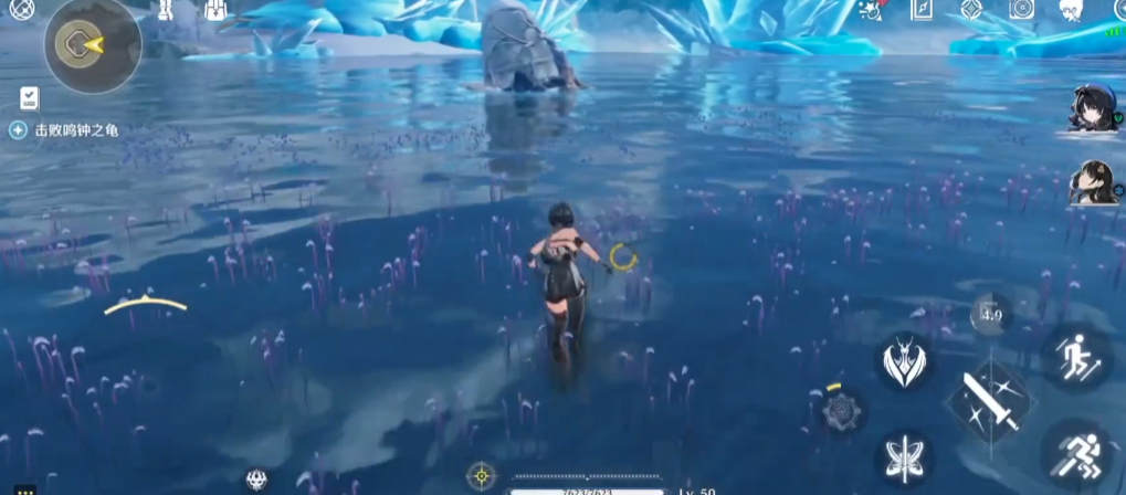 鸣潮鸣钟龟获取攻略详解 快速入手技巧揭秘